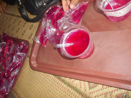 DSCN3527